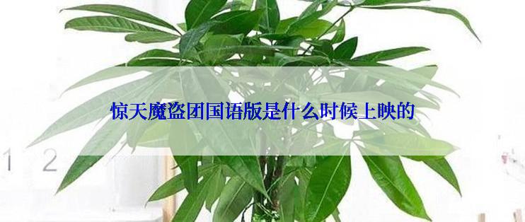 惊天魔盗团国语版是什么时候上映的