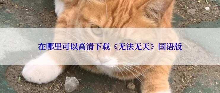 在哪里可以高清下载《无法无天》国语版