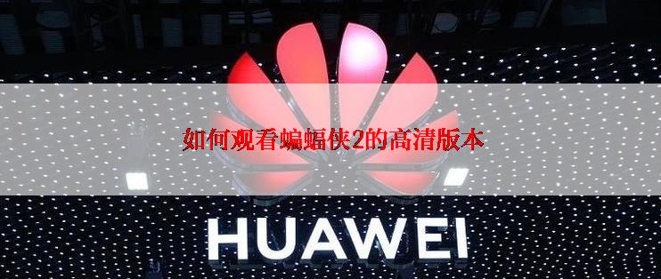  如何观看蝙蝠侠2的高清版本