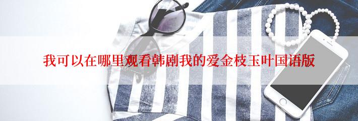 我可以在哪里观看韩剧我的爱金枝玉叶国语版