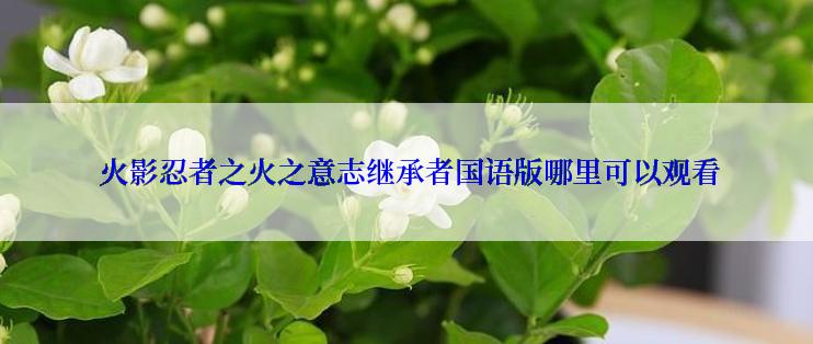  火影忍者之火之意志继承者国语版哪里可以观看