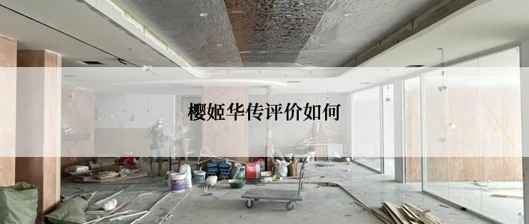 樱姬华传评价如何