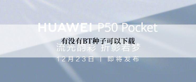 有没有BT种子可以下载