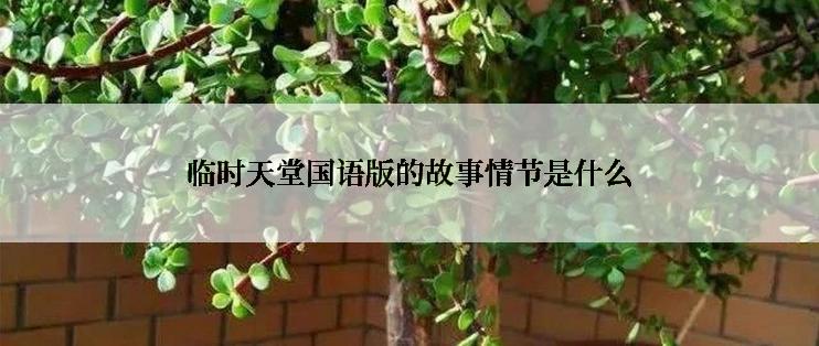临时天堂国语版的故事情节是什么