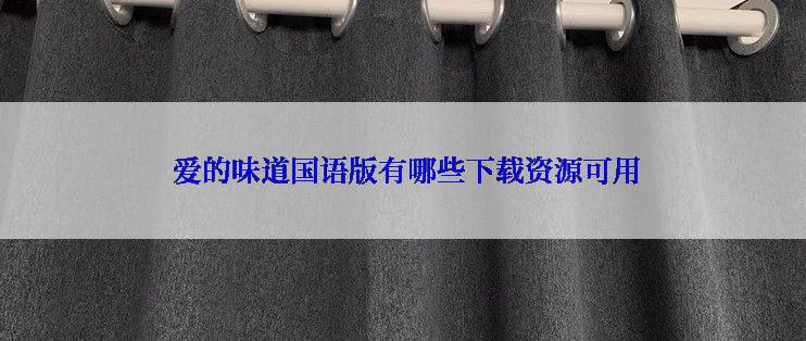  爱的味道国语版有哪些下载资源可用