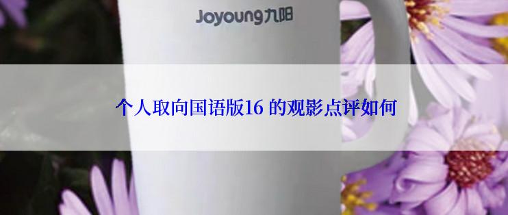  个人取向国语版16 的观影点评如何