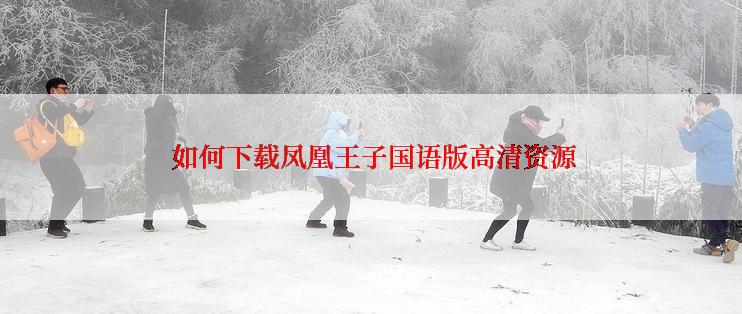  如何下载凤凰王子国语版高清资源