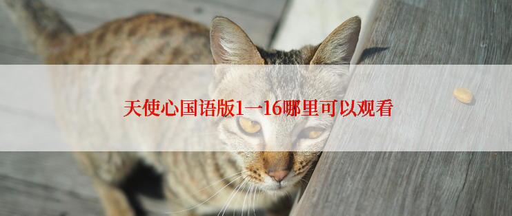  天使心国语版1一16哪里可以观看