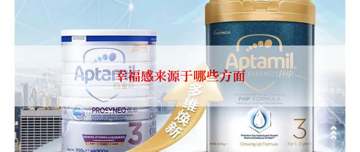 幸福感来源于哪些方面