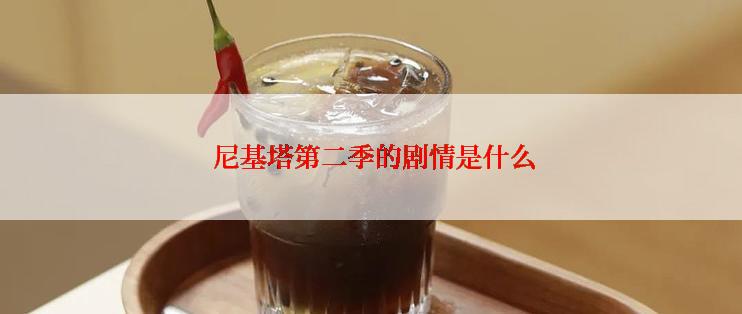  尼基塔第二季的剧情是什么