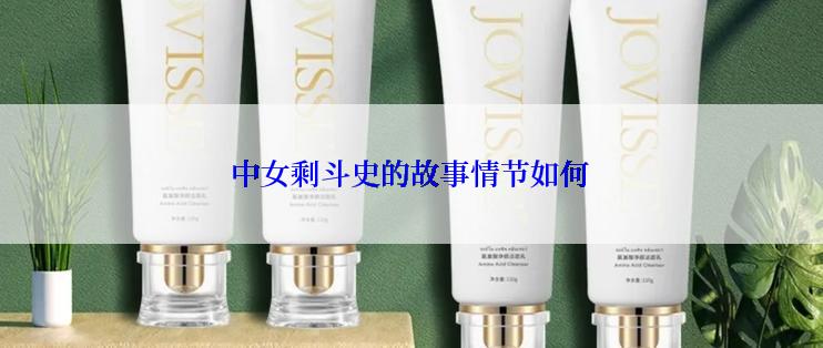 中女剩斗史的故事情节如何