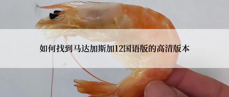 如何找到马达加斯加12国语版的高清版本