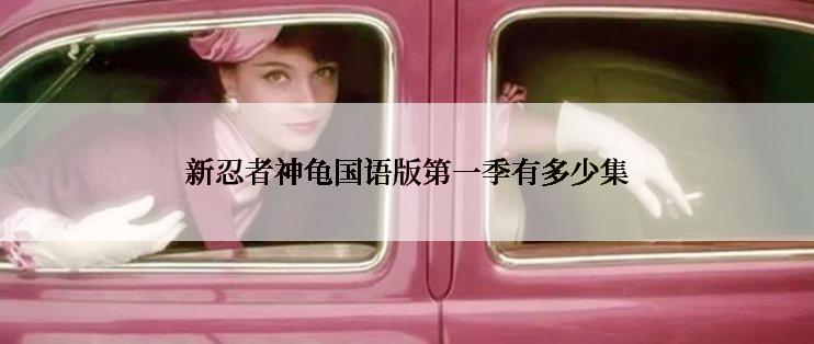 新忍者神龟国语版第一季有多少集