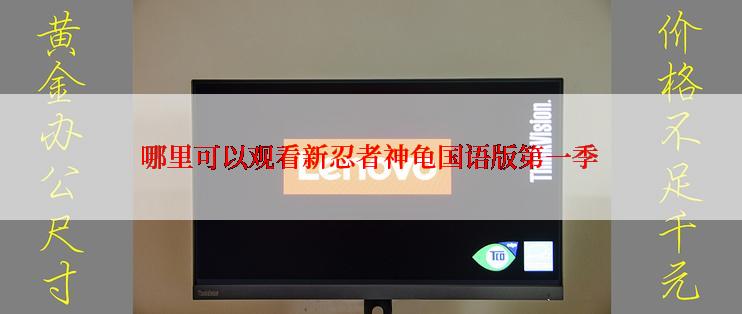 哪里可以观看新忍者神龟国语版第一季