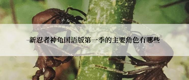 新忍者神龟国语版第一季的主要角色有哪些