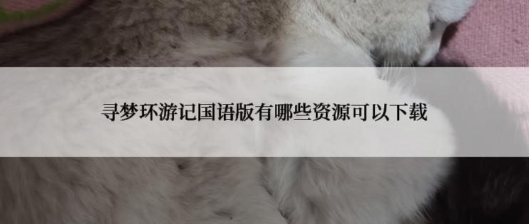 寻梦环游记国语版有哪些资源可以下载