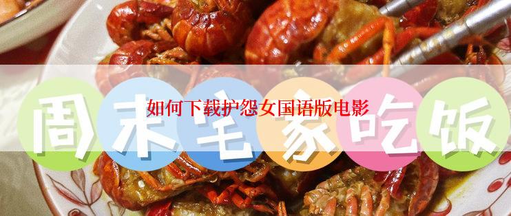  如何下载护怨女国语版电影