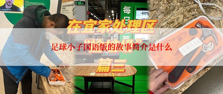 足球小子国语版的故事简介是什么