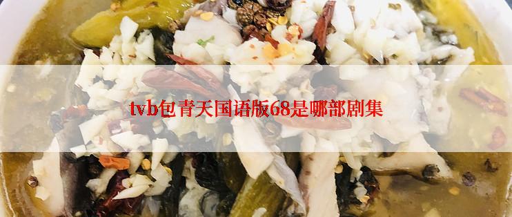 tvb包青天国语版68是哪部剧集