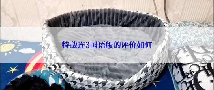 特战连3国语版的评价如何