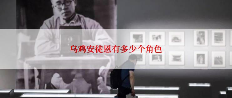 乌鸡安徒恩有多少个角色