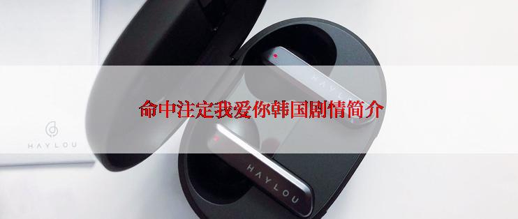  命中注定我爱你韩国剧情简介