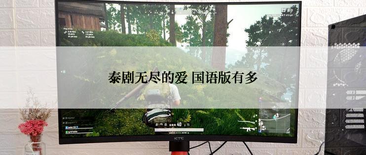 泰剧无尽的爱 国语版有多