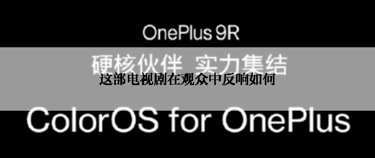这部电视剧在观众中反响如何
