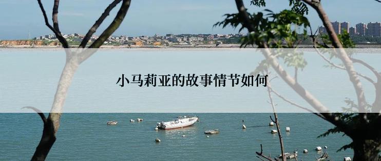  小马莉亚的故事情节如何