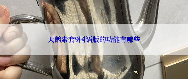 天鹅索套9国语版的功能有哪些