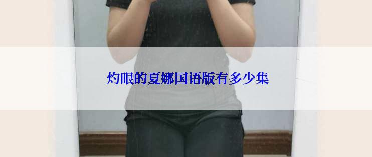  灼眼的夏娜国语版有多少集