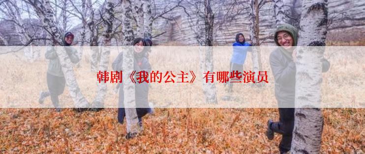 韩剧《我的公主》有哪些演员