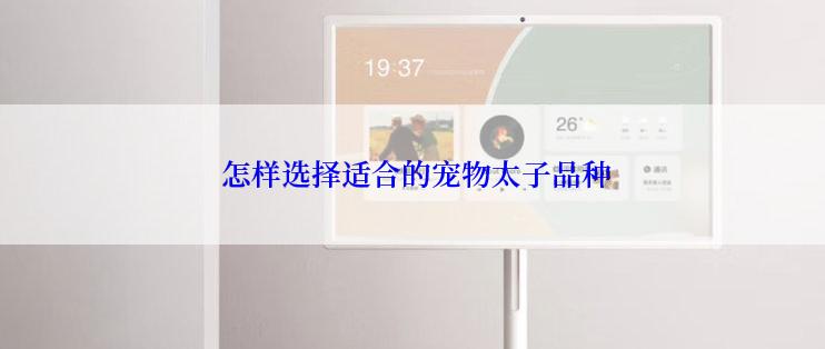  怎样选择适合的宠物太子品种