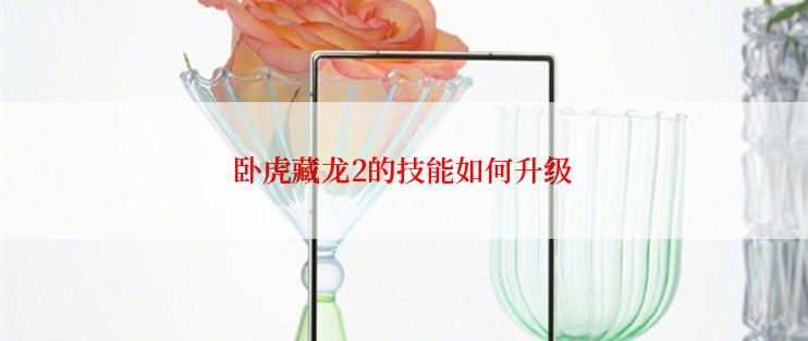 卧虎藏龙2的技能如何升级