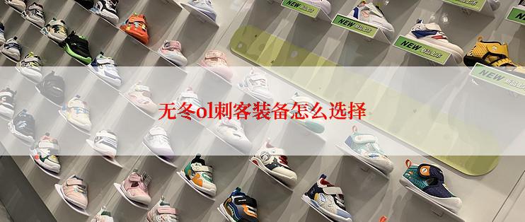 无冬ol刺客装备怎么选择
