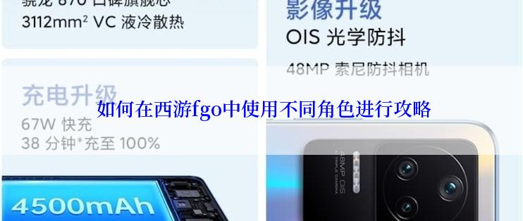  如何在西游fgo中使用不同角色进行攻略