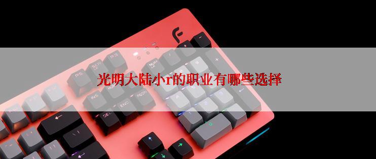  光明大陆小r的职业有哪些选择