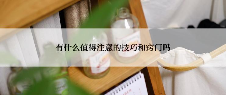 有什么值得注意的技巧和窍门吗