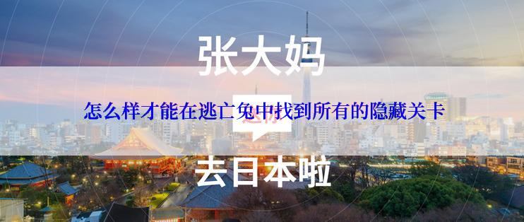 怎么样才能在逃亡兔中找到所有的隐藏关卡