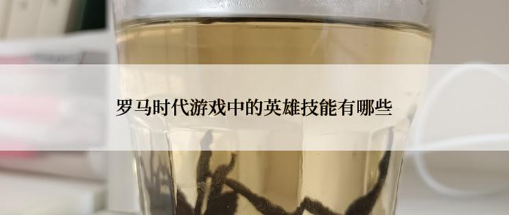 罗马时代游戏中的英雄技能有哪些