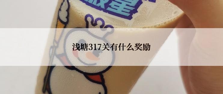 浅塘317关有什么奖励