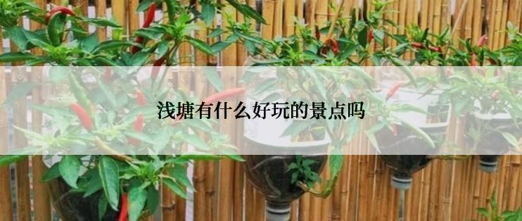 浅塘有什么好玩的景点吗