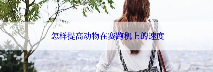  怎样提高动物在赛跑机上的速度