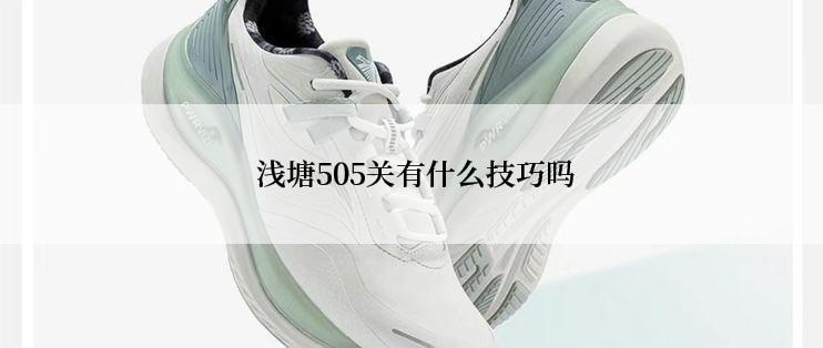  浅塘505关有什么技巧吗