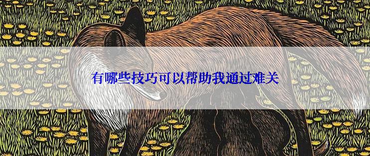 有哪些技巧可以帮助我通过难关