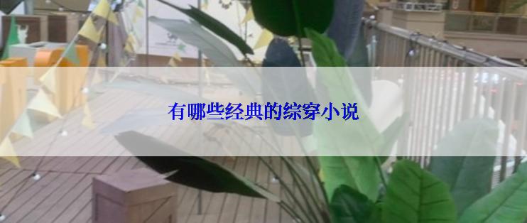 有哪些经典的综穿小说