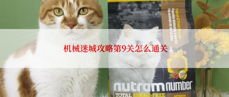  机械迷城攻略第9关怎么通关
