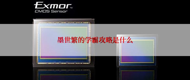 墨世繁的学霸攻略是什么