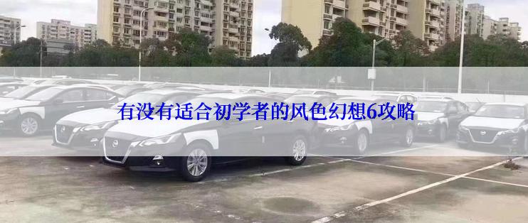  有没有适合初学者的风色幻想6攻略