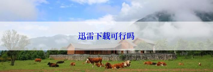 迅雷下载可行吗